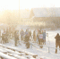 0001 - PechoraToday.Ru