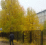 И о погоде... - PechoraToday.Ru