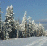 И о погоде... - PechoraToday.Ru