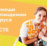 Запущен проект «Мы вместе» для желающих помочь другим в период эпидемии коронавируса - Муниципальный район Печора