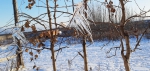 И о погоде...